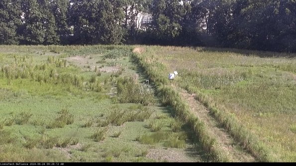 Cell 3 to 4_24-06-24_09-28-13-34