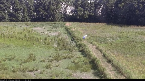 Cell 3 to 4_24-06-24_10-01-43-30