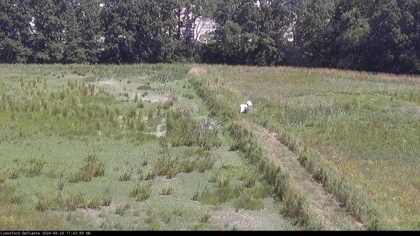 Cell 3 to 4_24-06-24_11-42-10-33