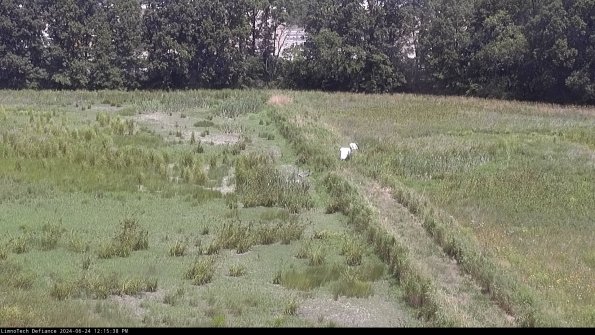 Cell 3 to 4_24-06-24_12-15-39-34