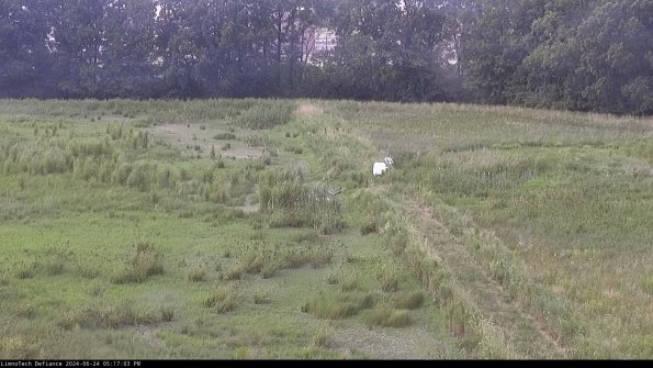 Cell 3 to 4_24-06-24_17-17-04-34