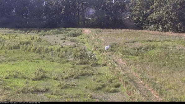 Cell 3 to 4_24-06-24_18-24-03-34