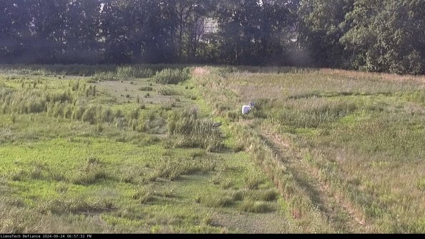 Cell 3 to 4_24-06-24_18-57-33-33