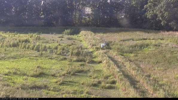 Cell 3 to 4_24-06-24_19-31-03-35