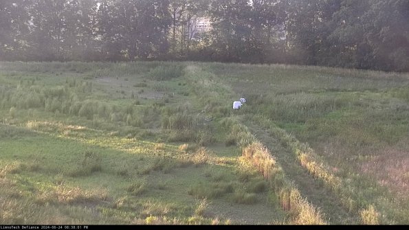 Cell 3 to 4_24-06-24_20-38-02-35