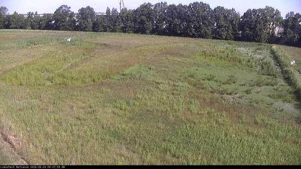 Cell 3_24-06-24_09-27-59-33