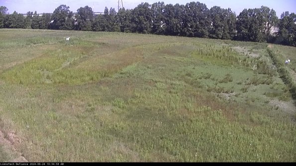 Cell 3_24-06-24_10-34-58-57