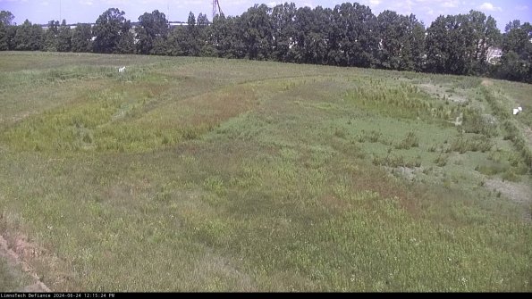 Cell 3_24-06-24_12-15-25-33