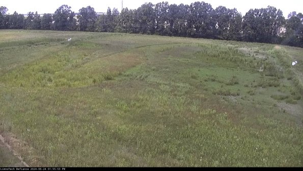 Cell 3_24-06-24_13-55-54-32