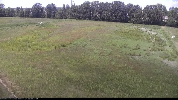 Cell 3_24-06-24_14-29-24-33