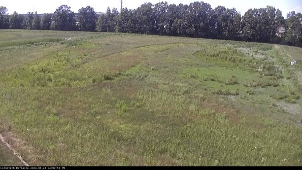 Cell 3_24-06-24_16-09-51-32