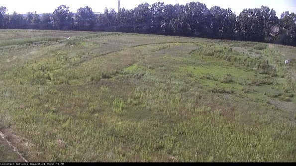 Cell 3_24-06-24_17-50-19-34