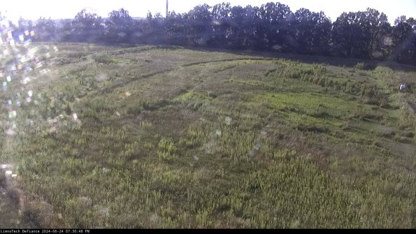 Cell 3_24-06-24_19-30-49-37