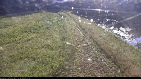 Cell 4 to Basin_24-06-24_08-21-58-35