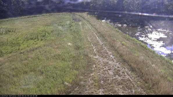 Cell 4 to Basin_24-06-24_09-28-57-35