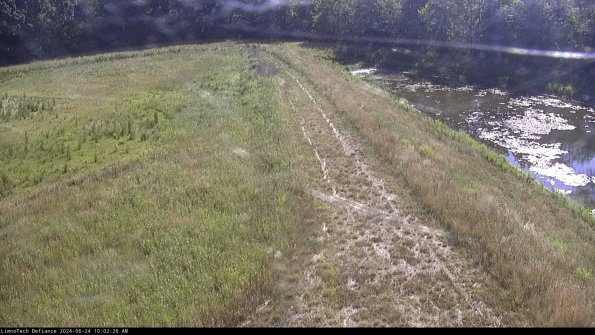 Cell 4 to Basin_24-06-24_10-02-27-31