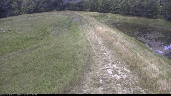 Cell 4 to Basin_24-06-24_13-56-52-34