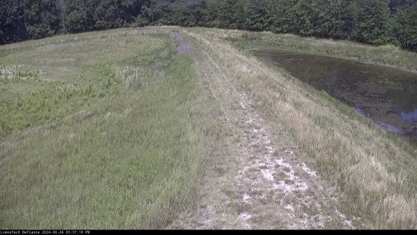 Cell 4 to Basin_24-06-24_15-37-20-36