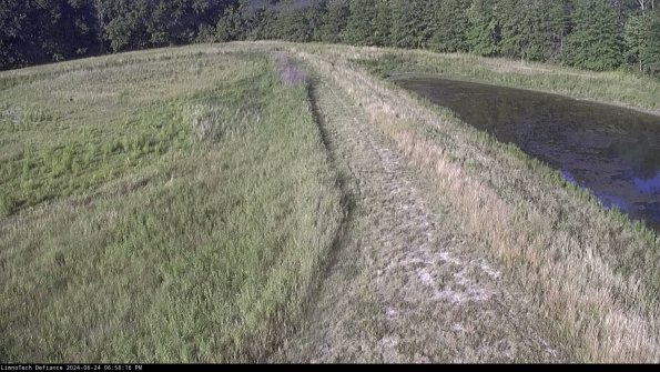 Cell 4 to Basin_24-06-24_18-58-17-34