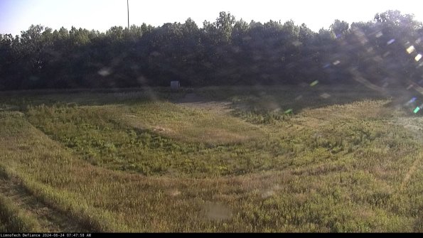 Cell 4_24-06-24_07-47-59-33