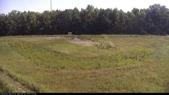 Cell 4_24-06-24_10-01-57-32