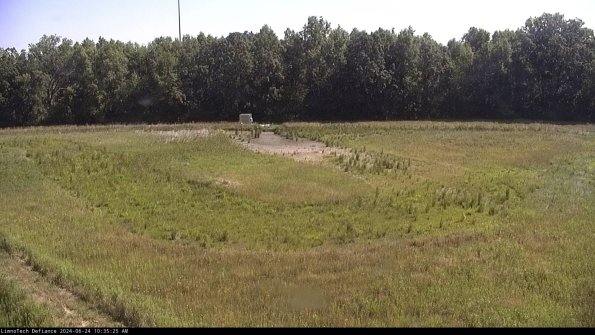 Cell 4_24-06-24_10-35-26-33