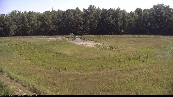 Cell 4_24-06-24_11-08-55-32