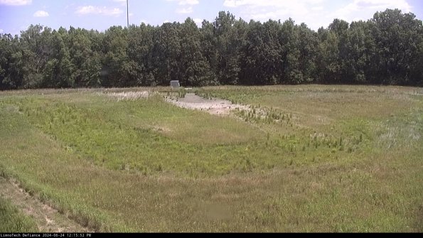 Cell 4_24-06-24_12-15-53-33