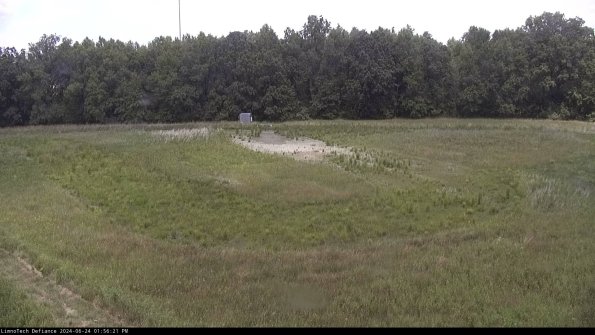 Cell 4_24-06-24_13-56-22-35