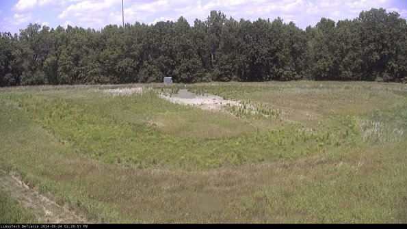 Cell 4_24-06-24_14-29-52-33