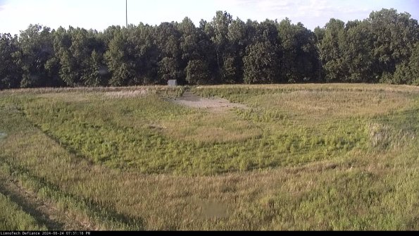 Cell 4_24-06-24_19-31-17-33