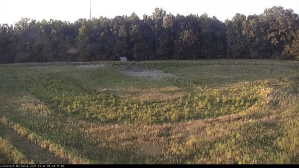 Cell 4_24-06-24_20-38-16-33