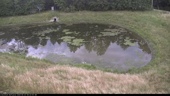 Basin Right_24-06-25_08-23-04-33