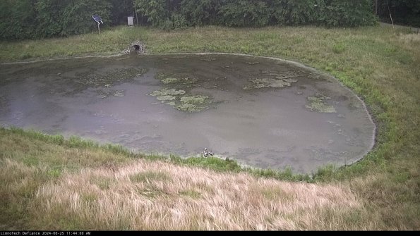 Basin Right_24-06-25_11-44-01-32