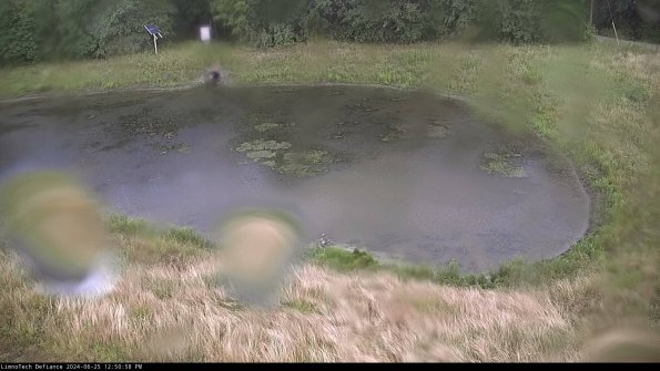 Basin Right_24-06-25_12-50-59-32