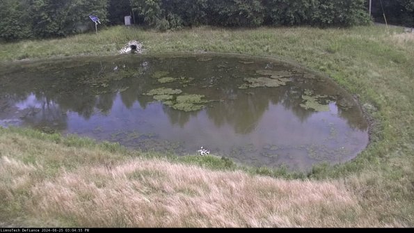 Basin Right_24-06-25_15-04-56-33