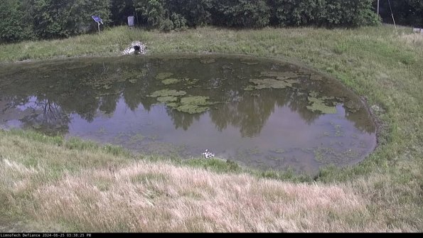 Basin Right_24-06-25_15-38-26-35