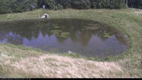 Basin Right_24-06-25_16-11-55-34