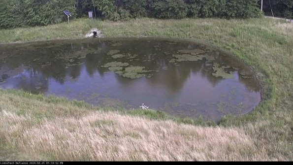 Basin Right_24-06-25_17-18-53-35