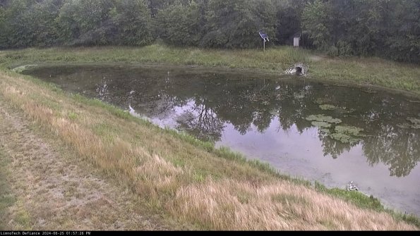 Basin_24-06-25_13-57-26-53