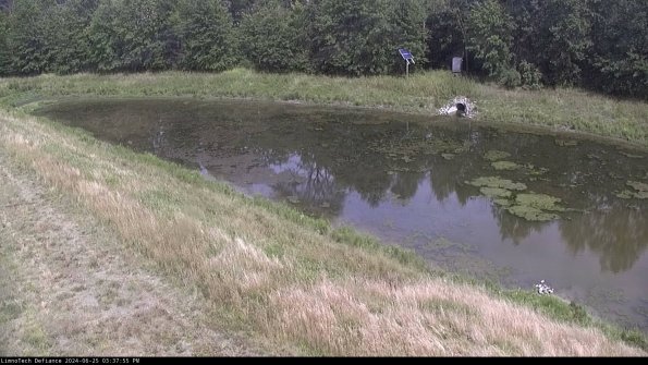 Basin_24-06-25_15-37-55-49