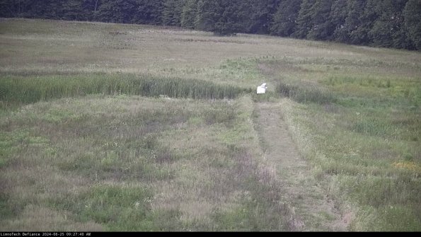 Cell 1 to 2_24-06-25_09-27-41-33