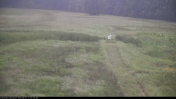 Cell 1 to 2_24-06-25_11-41-40-34