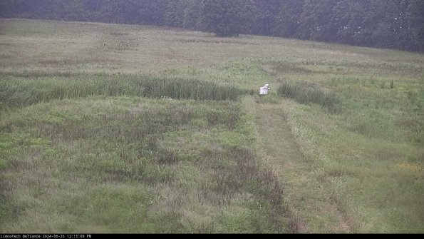 Cell 1 to 2_24-06-25_12-15-09-33