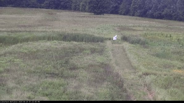 Cell 1 to 2_24-06-25_13-22-07-33