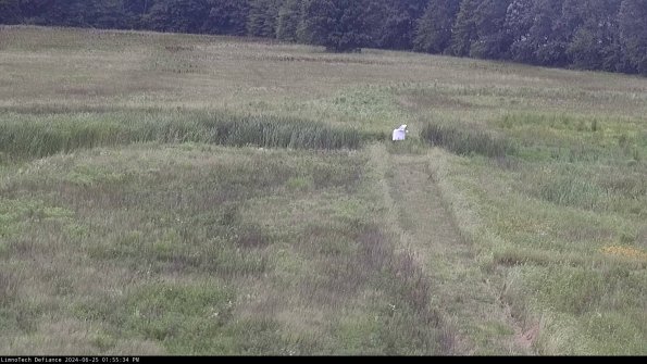 Cell 1 to 2_24-06-25_13-55-35-32