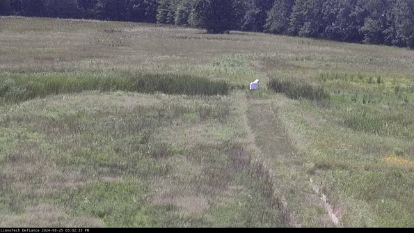 Cell 1 to 2_24-06-25_15-02-34-32