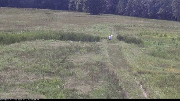 Cell 1 to 2_24-06-25_16-09-34-33