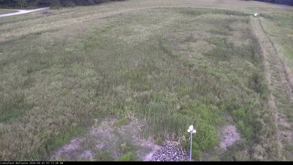 Cell 1_24-06-25_07-13-29-33