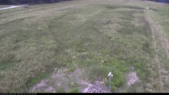 Cell 1_24-06-25_07-46-59-32